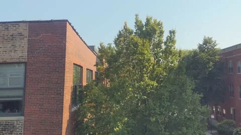 CTA Brown Line Train - Irving Park 스톡 동영상 165425707
