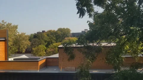 CTA Train Chicago Vidéo 165427216