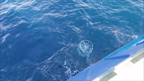 CTD Instrument Video stock 129043594