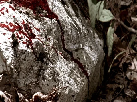 CU blood splattered on rock in forest Stock-Footage 86750855