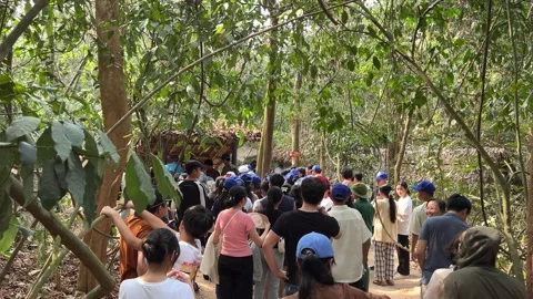 Cu Chi, Viet Nam Cu Chi 06.06.2024 excursion group tourists tunnels were the Stock Footage 276914676