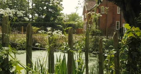 CU on cottage through pond with cow parsley Video stock 153528884