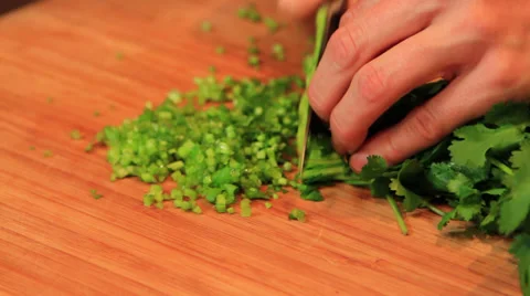 CU Cutting Cilantro Stock Footage 37412491