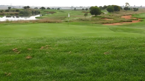 Cu of dew on golfcourse Stockbeeldmateriaal 91752773