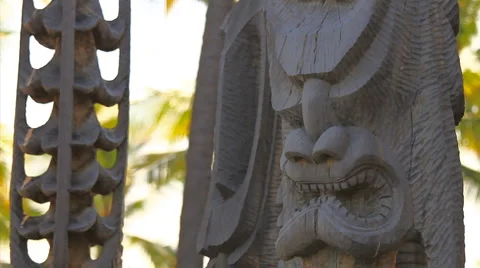 CU face of a kiʻi with others behind it Stock Footage 5801470
