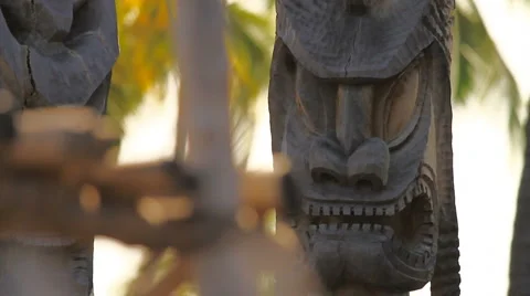 CU face of a kiʻi with something out of focus in foreground Stock Footage 5800094