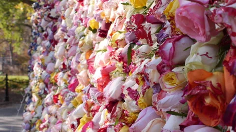 CU Flower wall Stock Footage 137811618