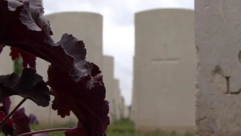 CU Flowers at Gravestones at Tyne Cot Cemetery in Ypres, Belgium Stock-Footage 98401950