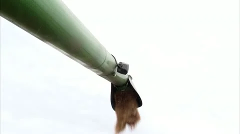 CU LA Harvested wheat spouting against sky Stock Footage 11341575