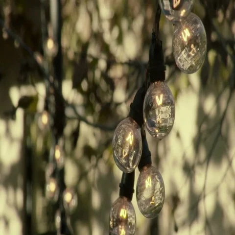 CU Light Bulbs on String Video stock 69553847