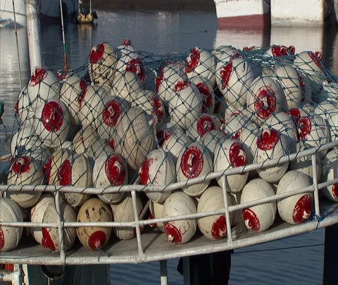 CU net filled with buoys on pier Stock Footage 86747898