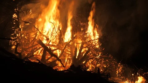 CU Night burning logging slash in Coast Range of Oregon flames, sparks smoke 4k. Stock Footage 122719081