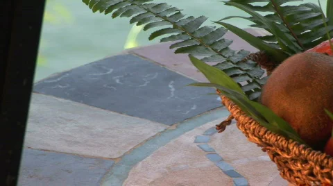 CU pan of fruit Stock Footage 574473