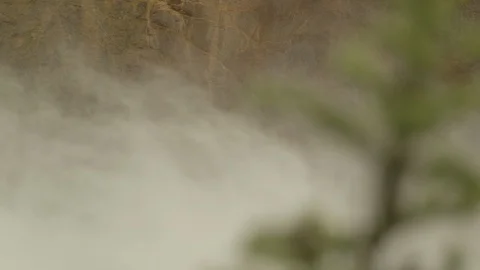 CU Rack Focus Pine Tree to Yellowstone Falls Waterfall Uncle Toms Trail Stock Footage 122223771