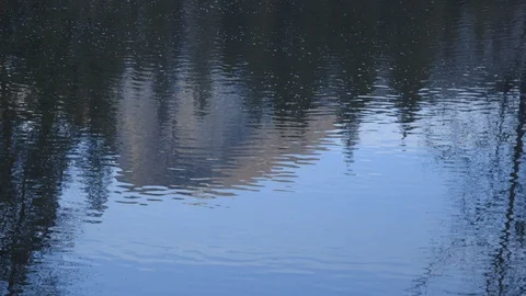 CU Reflection of Half Dome Yosemite in Pond Stock Footage 122400190