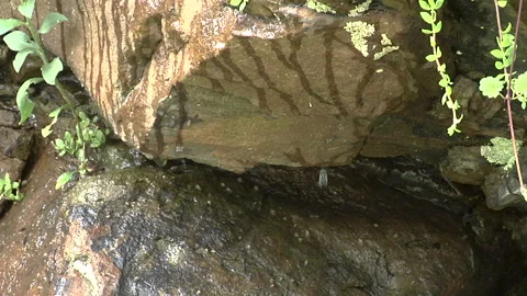 CU rocks dripping mountain runoff water 库存影片 169002701