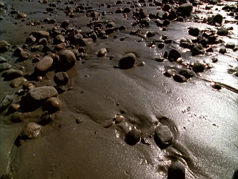 CU rocks in wet sand, tilt up to show WS waves rolling in to shore. Stock Footage 86750604