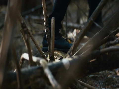 CU shot of male hiker walking on a fallen tree trunk, selective focus Stock Footage