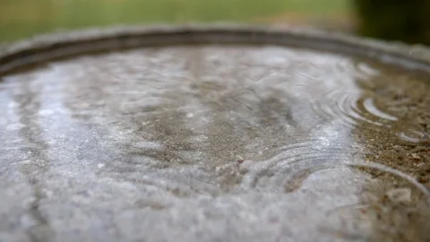 CU Slow Mo Raindrops In Birdbath 4k Stock Footage 127524535