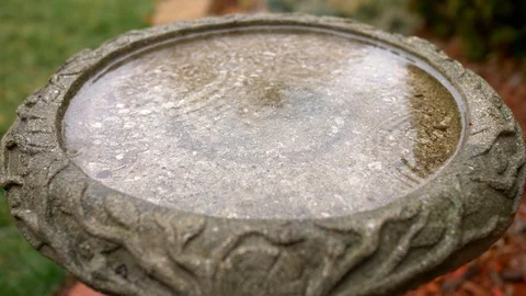 CU Slow-Mo Raindrops In birdbath 4k Stock Footage 127524638