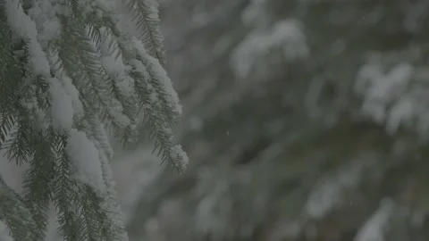 CU Snowing Video stock 162186338