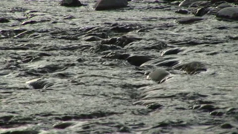 CU stream Vídeos de archivo 72572052