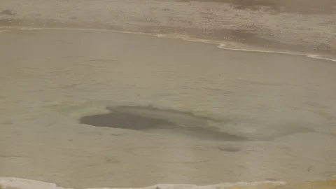 CU Sulfuric Hot Spring in Yellowstone National Park with Steam Rising Stock Footage 122223805