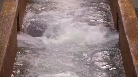 CU TILT UP ON WATER FITRATION TROUGH Stock Footage 106139782