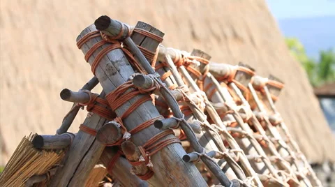 CU top of a hale, all bounded together Stock Footage 5808595