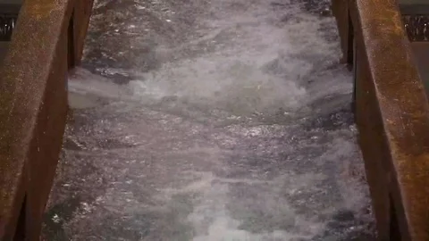 CU OF WATER BEING FILTERED IN PLANT Stock Footage 106139170