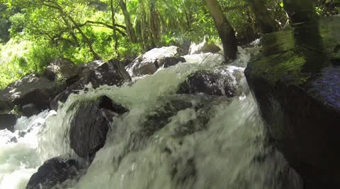 CU of water running over rocks under tropical covering 库存影片 22862111
