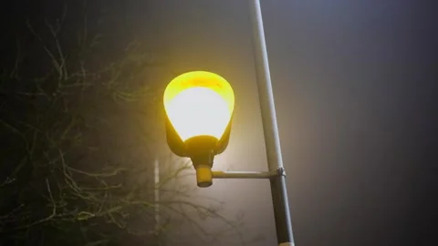 CU zebra crossing light flashing. Cutaway shot. Stock Footage 330169725