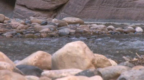 CU Zion Narrows Video stock 530697