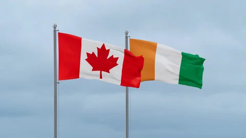 Cuba and Canada flag Stock Footage 252023317