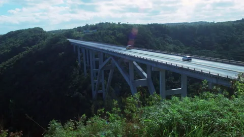 Cuba, bridge over jungles Stock Footage 140290072