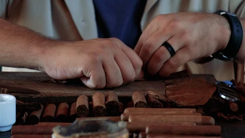Cuba cigar preparation Stock Footage 121217163