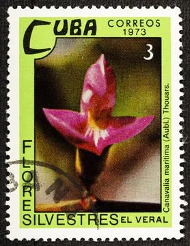 CUBA - CIRCA 1973: A postage stamp printed in Cuba shows a blooming Canavalia Stock Photos