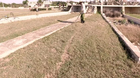 Cuba - cut the grass 2 Vídeos de archivo 113263240