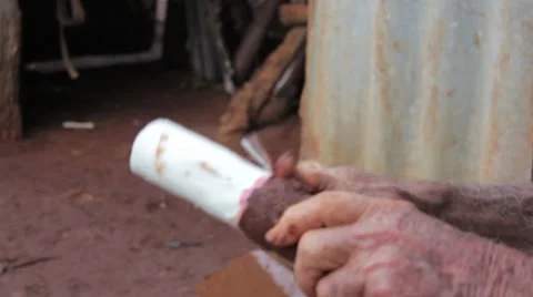 Cuba Cut Yucca Stock Footage 63414101