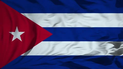 Cuba flag waving in the wind Animation Vídeos de archivo 309345919