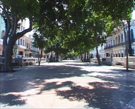 Cuba, Havana - empty city square with trees and shade Stock Footage 24158185