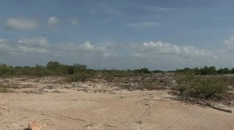 Cuba, Landscape 動画素材 21789253