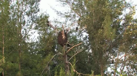 Cuba, Landscape Видео 22107100