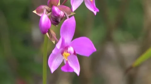 Cuba, Landscape Video stock 22107335