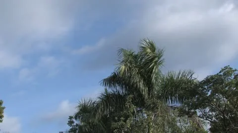 Cuba, Landscape 스톡 동영상 22107572