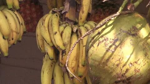 Cuba, Landscape Видео 22107757