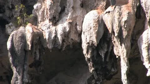 Cuba, Landscape Видео 22107992