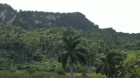 Cuba, Landscape Video stock 22108604
