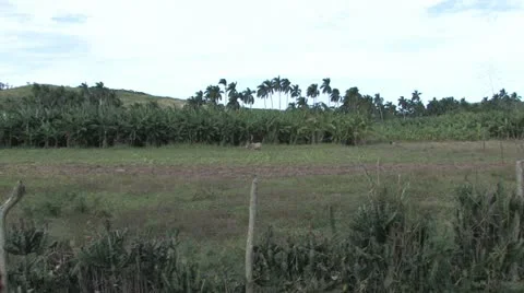 Cuba, Landscape Video stock 22108613