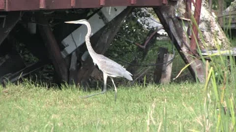 Cuba, Landscape 動画素材 22109131